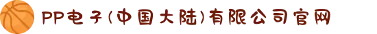 PP电子(中国大陆)有限公司官网